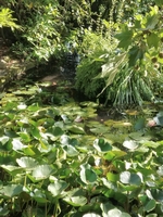 La Bambousaie - Photo 7