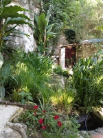 La Bambousaie - Photo 10