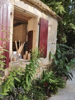 La Bambousaie - Photo 12