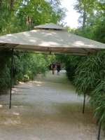 La Bambousaie - Photo 16