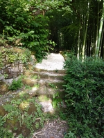 La Bambousaie - Photo 19