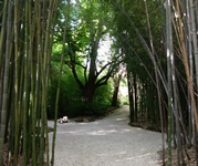 Patrimoine - parcs et jardins à La Roque Gageac