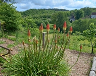 Le Jardin de Paradis