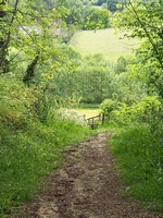 Le Jardin de Paradis - Photo 2