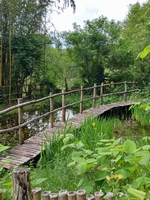 Le Jardin de Paradis - Photo 3