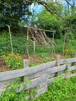 Le Jardin de Paradis - Photo 4