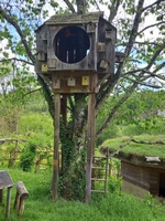 Le Jardin de Paradis - Photo 6