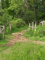 Le Jardin de Paradis - Photo 7