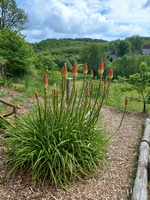 Le Jardin de Paradis - Photo 11