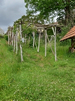 Le Jardin de Paradis - Photo 16