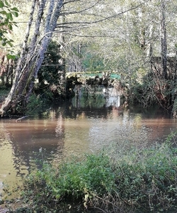 Le parc de Bassy et ses étangs