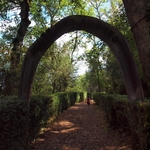 Les jardins de Marqueyssac allées de buis