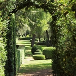 Les Jardins de Marqueyssac allées sinueuses, salons de verdure