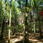 le filet dans les arbres aux jardins de Marqueyssac