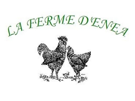 La Ferme d Enea à Segonzac - vente directe poulet prêt à cuire et oeufs