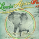 Festival Lembr' Africa Fest lembras 2019