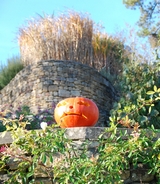 Halloween à LIMEUIL  2020