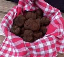 Marché de producteurs de truffes à Sarlat
